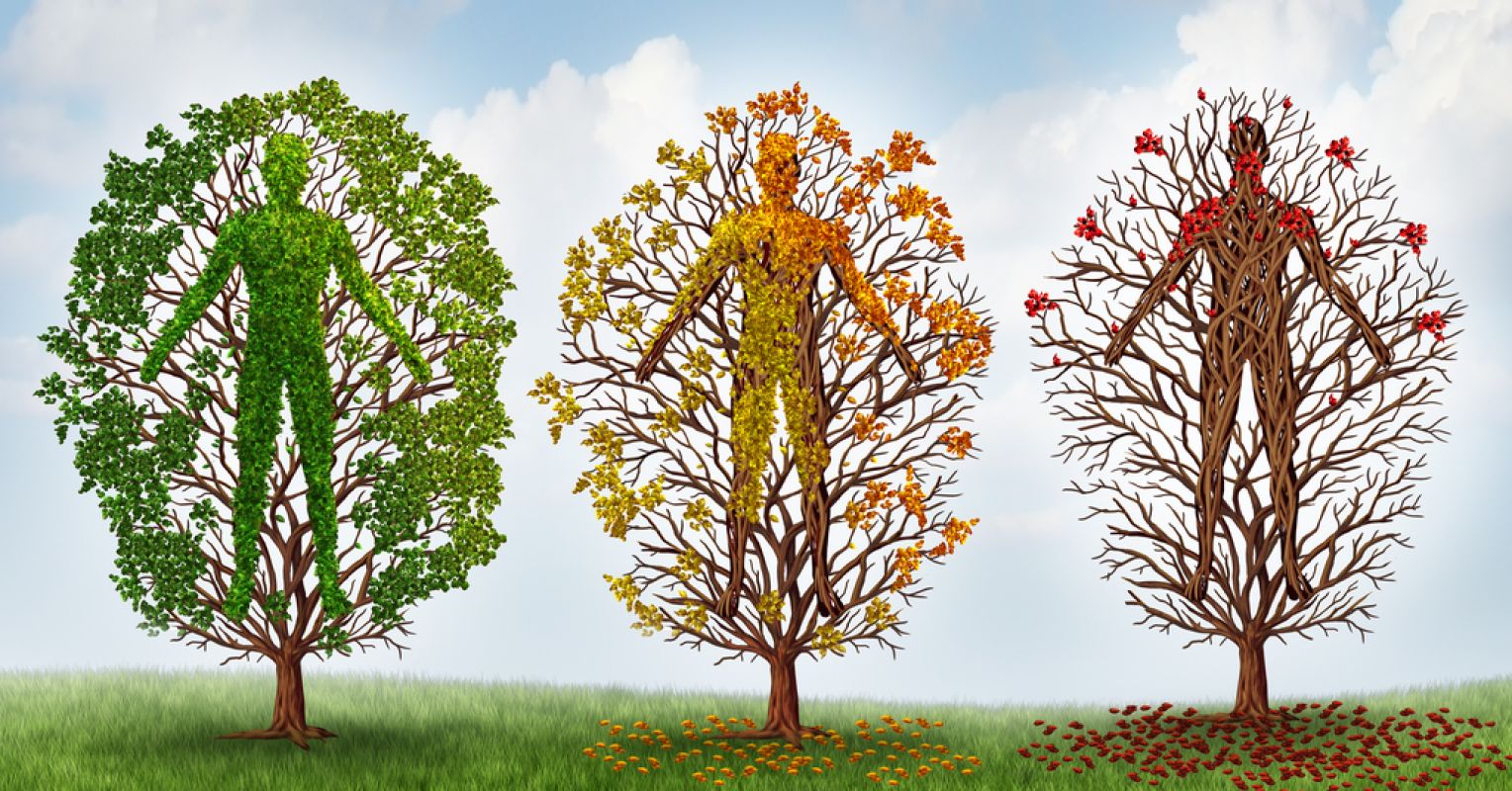 It's Not Easy to Become a Tree | Psychology Today